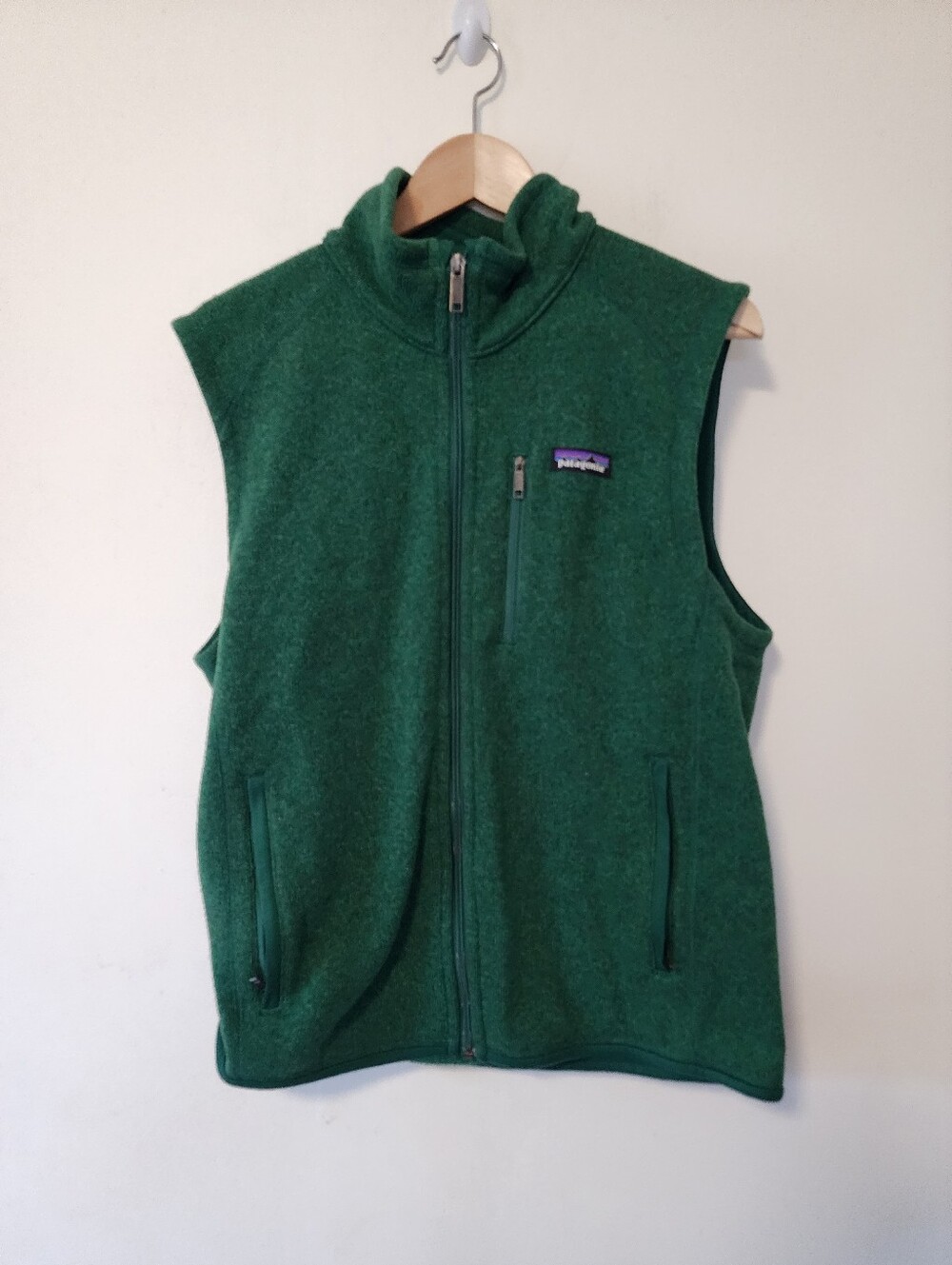 Patagonia Men's Forest Green Full-Zip Fleece Vest